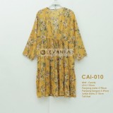 CAi-010 Outer Ceruti / Cerutty motif